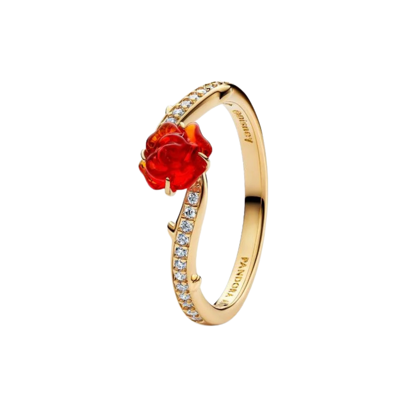 Anillos