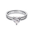 Pandora Ring Dubbel Hart Band in Zilverkleur - Bijuvera