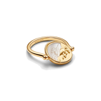 Anillo Pandora Medallón Reversible Pegaso - Bijuvera