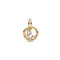 Collar Pandora Charm Colgante Zodiaco Acuario - Bijuvera